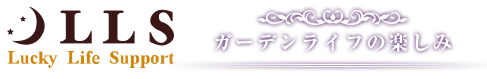 株式会社エルエルエス